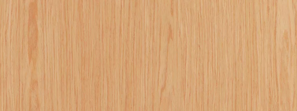 Finition panneau bois lisse Aniégré - porte blindée Fichet Foxeo HiS