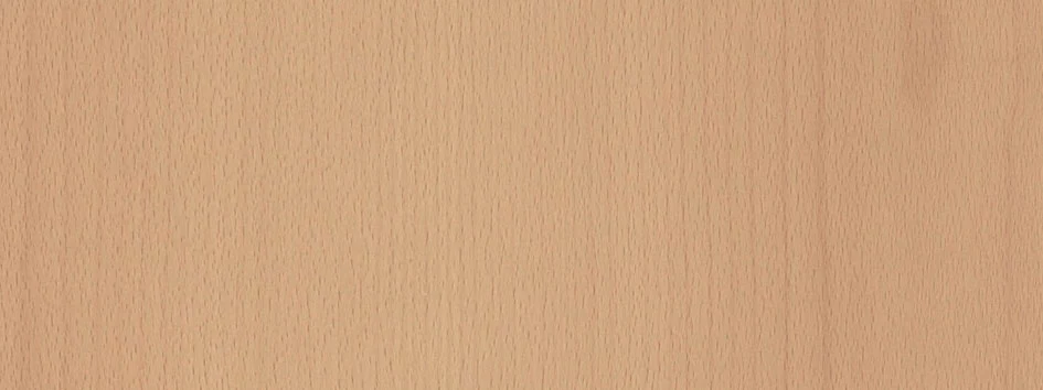 Finition panneau bois lisse Bouleau - porte blindée Fichet Foxeo HiS
